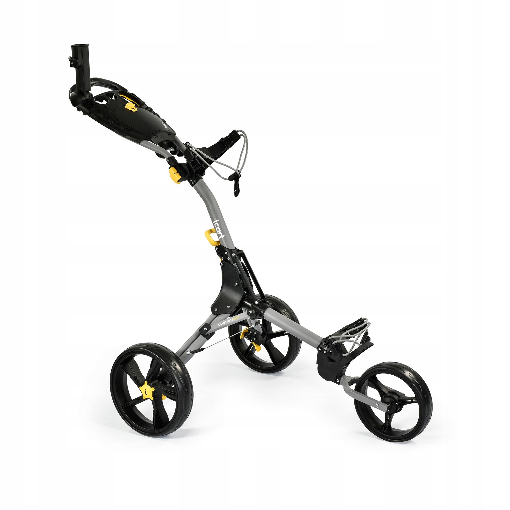 12300619100